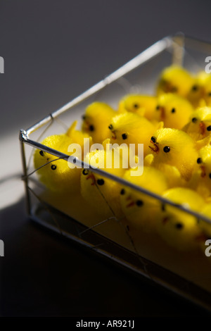 Army of Toy Chicks in a Chicken wire cage Stock Photo