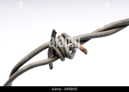 Image of a close up shot of a the prongs on a piece of barbed wire Stock Photo