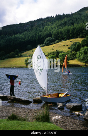 Lake Llyn Geirionydd Gwynedd North Wales United Kingdom Europe Stock Photo