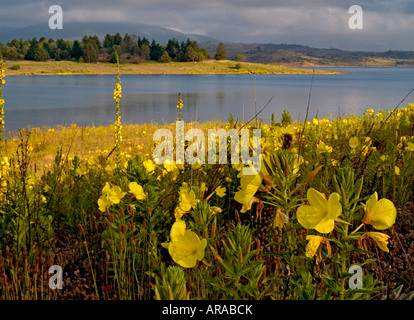 Lake Jindabyne Snowy Mountains New South Wales Australia Early morning light Stock Photo