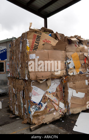 boxes bound for recycling at trash dump and recycling site Issaquah Washington Stock Photo