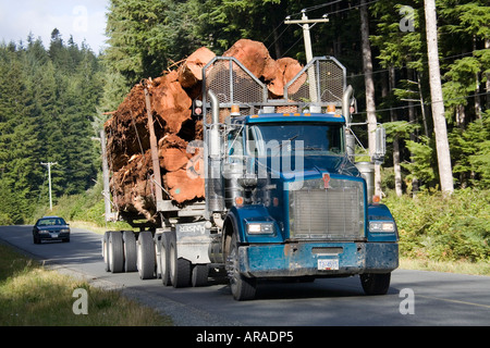 Logging truck carrying trunks of western red cedar Port McNeill Vancouver island Canada Stock Photo