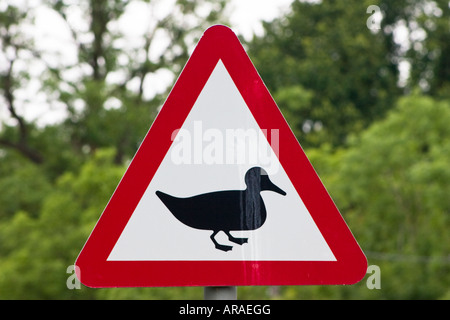 Caution potential waterfoul in road ahead road sign Stock Photo