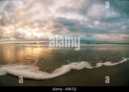 Incoming North sea tide at sunset on beach, Juist, Germany Stock Photo