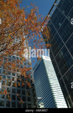 office buildings in canary wharf, london, england Stock Photo
