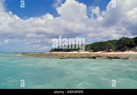 Lady Musgrave Island Capricornia Cays National Park Queensland Australia Stock Photo