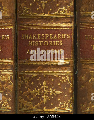 Detail of leather bound volumes of William Shakespeare s works