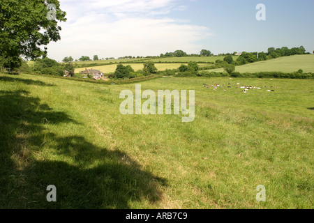 View from Wanborough towards Liddington Hill near Swindon Wiltshire Stock Photo