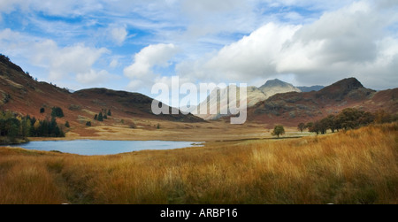 The Langdale Pikes seen across Blea Tarn The Lake District Cumbria England Uk Stock Photo