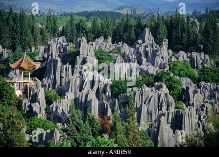 Limestone pinnacles in Shilin, Stone Forest, at Lunan, Yunnan, China Stock Photo