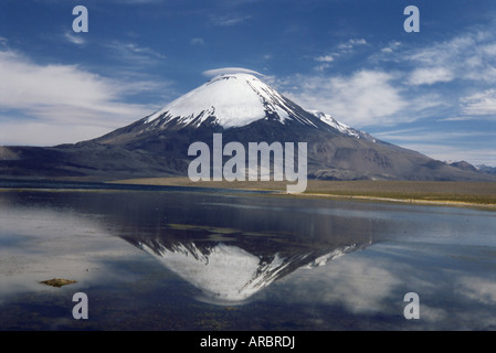 Volcano of Parinacola, 6348m high, reflected in water of Chungara Lake, Parque Nacional de Lauca, Chile, South America Stock Photo