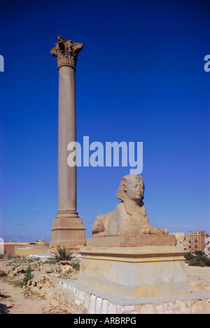 Pompey's Pillar, Alexandria, Egypt, North Africa Stock Photo