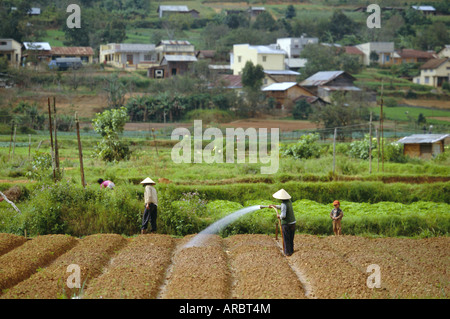 Irrigating fields near Dalat, city in Central Highlands, Vietnam, Indochina, Southeast Asia, Asia Stock Photo
