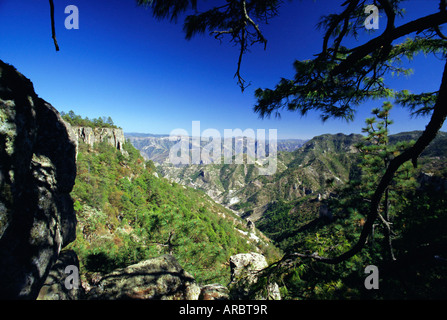 Copper Canyon, Sierra Madre Occidental, from the rim near Divisadero, Mexico, Central America Stock Photo