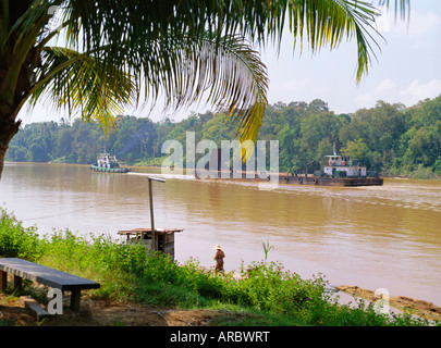 Boat Trip on the Kinabatangan River and a Pygmy Elephant , Borneo ...