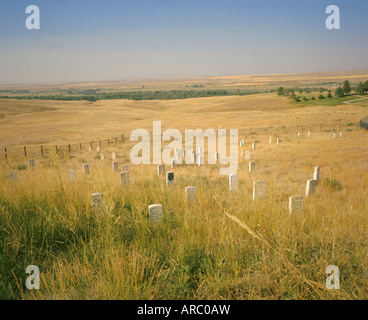 Custer's Last Stand battlefield, Custer's grave site marked by dark shield on stone, Montana, USA, North America Stock Photo