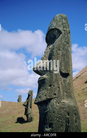 Unfinished heads on outer south slopes of the crater, Rano Raraku, Easter Island, Chile Stock Photo