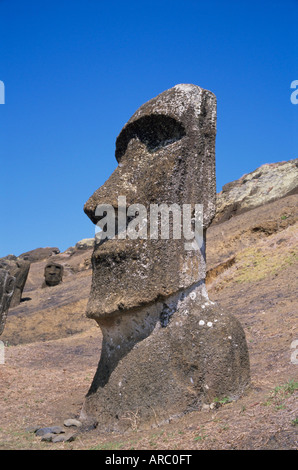 Rano Raraku, moai on inner slopes of volcanic crater, Easter Island, Chile, Pacific Stock Photo