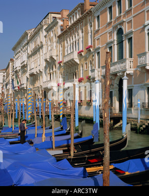 Moored gondolas on the Grand Canal, Venice, Veneto, Italy Stock Photo