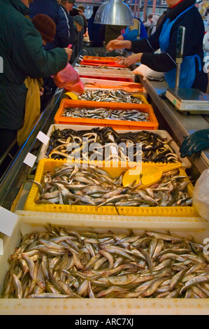 Fish at Centraltirgus market hall in Riga Latvia EU Stock Photo