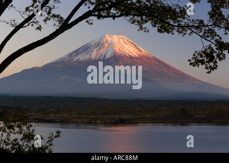 Lake Shoji-ko and Mount Fuji in evening light, Fuji-Hakone-Izu National Park, Honshu, Japan, Asia Stock Photo