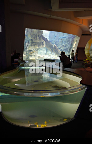 WISCONSIN Milwaukee Aquatarium exhibits at Discovery World museum at ...