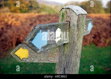A footpath signpost on the Offa s Dyke Path on the English Welsh border in the UK Stock Photo