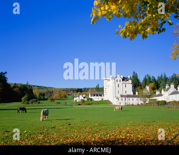 Blair Castle, Blair Atholl, Tayside, Scotland, UK, Europe Stock Photo