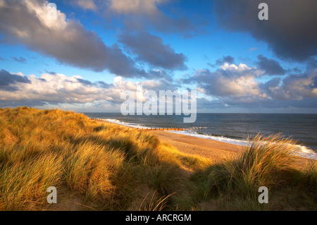 Horsey Sand Dunes on the Norfolk Coast Stock Photo