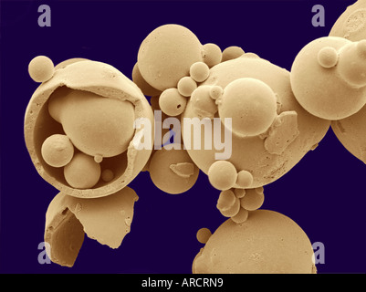 Buttermilk - spray-dried powder of a dairy by-product from butter production. Butter is made by churning cream Stock Photo