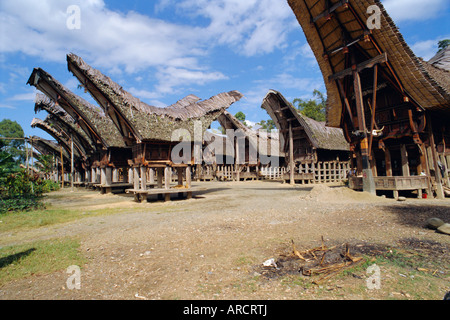 Typical houses and granaries, Toraja  area, Sulawesi, Indonesia Stock Photo