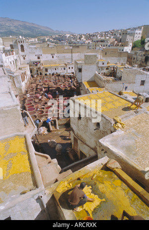 The tanneries, Fez (Fes), Morocco, North Africa, Africa Stock Photo