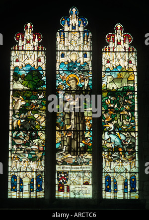 Gilbert White's Stained glass window Selbourne Church Hampshire UK Stock Photo