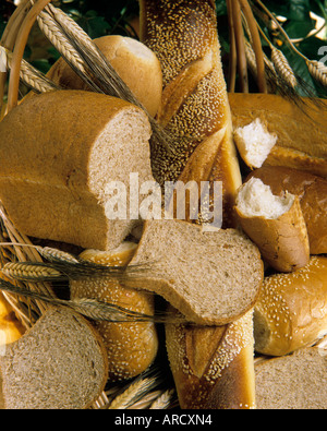 SELECTION OF BREADS IN VARIOUS SHAPES AND SIZES INCLUDING WHOLEMEAL WHITE AND SEEDED INTERTWINED WITH WHEAT EARS Stock Photo