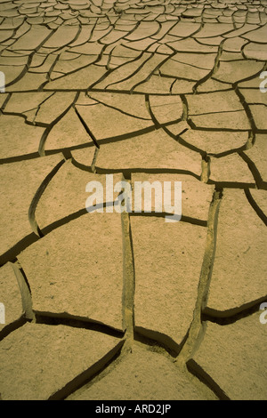 Cracked mud in the Namib desert Stock Photo