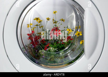 Colourful flowers inside washing machine Stock Photo