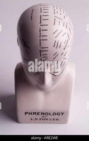 Phrenology head displaying human characteristics Stock Photo