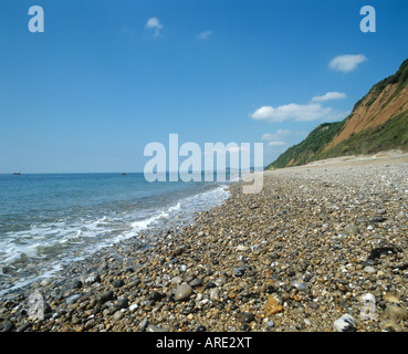 Shoreline of the pebble beach at Branscombe with high sandstone cliffs Stock Photo