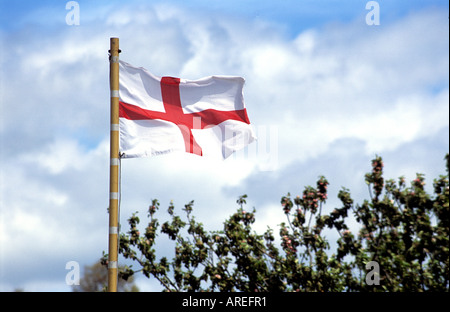 British flag of St George home made flying over allotments Stock Photo