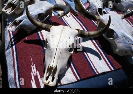Santa Fe New Mexico Longhorn Steer Skulls displayed on Indian style blankets Stock Photo