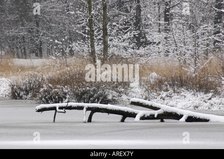 Winter at the Overasseltse vennen Stock Photo