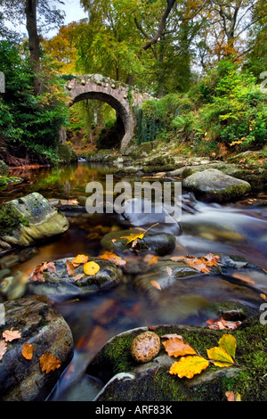 Foley's Bridge, Tollymore forest park.