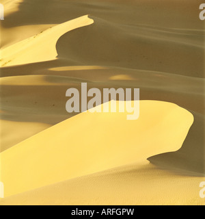 Khongoryn Els sand dune. South Gobi desert. Mongolia Stock Photo