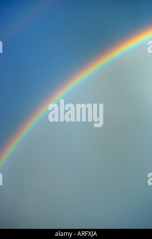 RAINBOW IN BLUE SKY AFTER RAIN Stock Photo