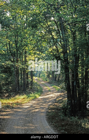 Country Road, Land Between the Lakes National Recreation Area, Tennessee, USA Stock Photo