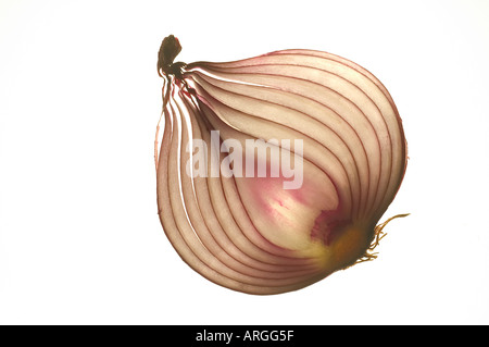 Onion slice Stock Photo