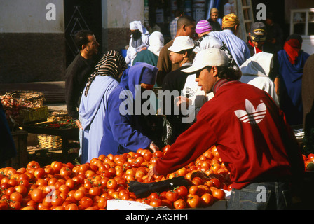 Old Medina Dar-el-Baida Greater Casablanca Region Western Morocco Maghreb Maghrebian Berber Arab Arabic Moroccan North Africa Stock Photo