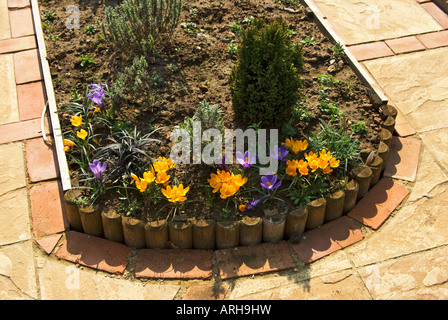 Neat narrow enclosed flower bed with brick and paving surround Stock Photo