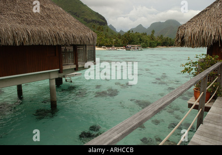 Corals seen in shallow water Moorea Tahiti French Polynesia South Pacific Stock Photo