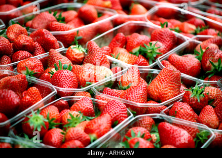 Strawberries for sale in street market in French city of Pau Bearn 2007 Stock Photo